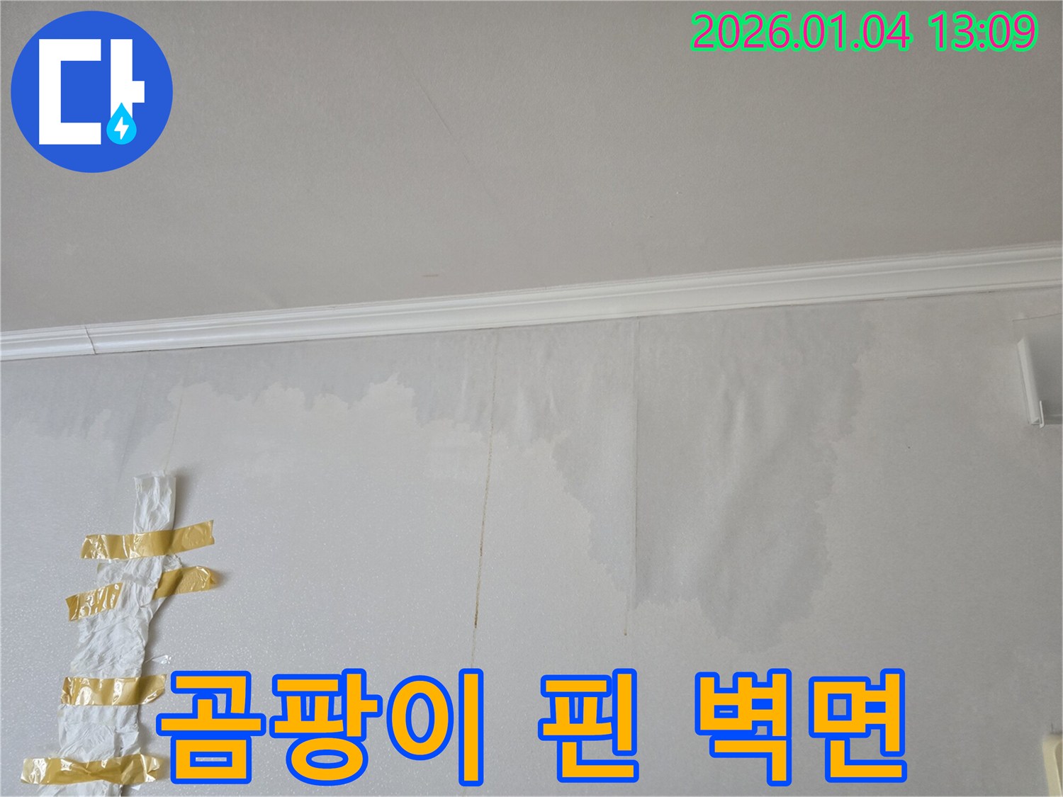 성동구 독서당로 - 곰팡이가 심하게 핀 벽면 사진입니다 - 누수 문제의 심각성을 보여줍니다.