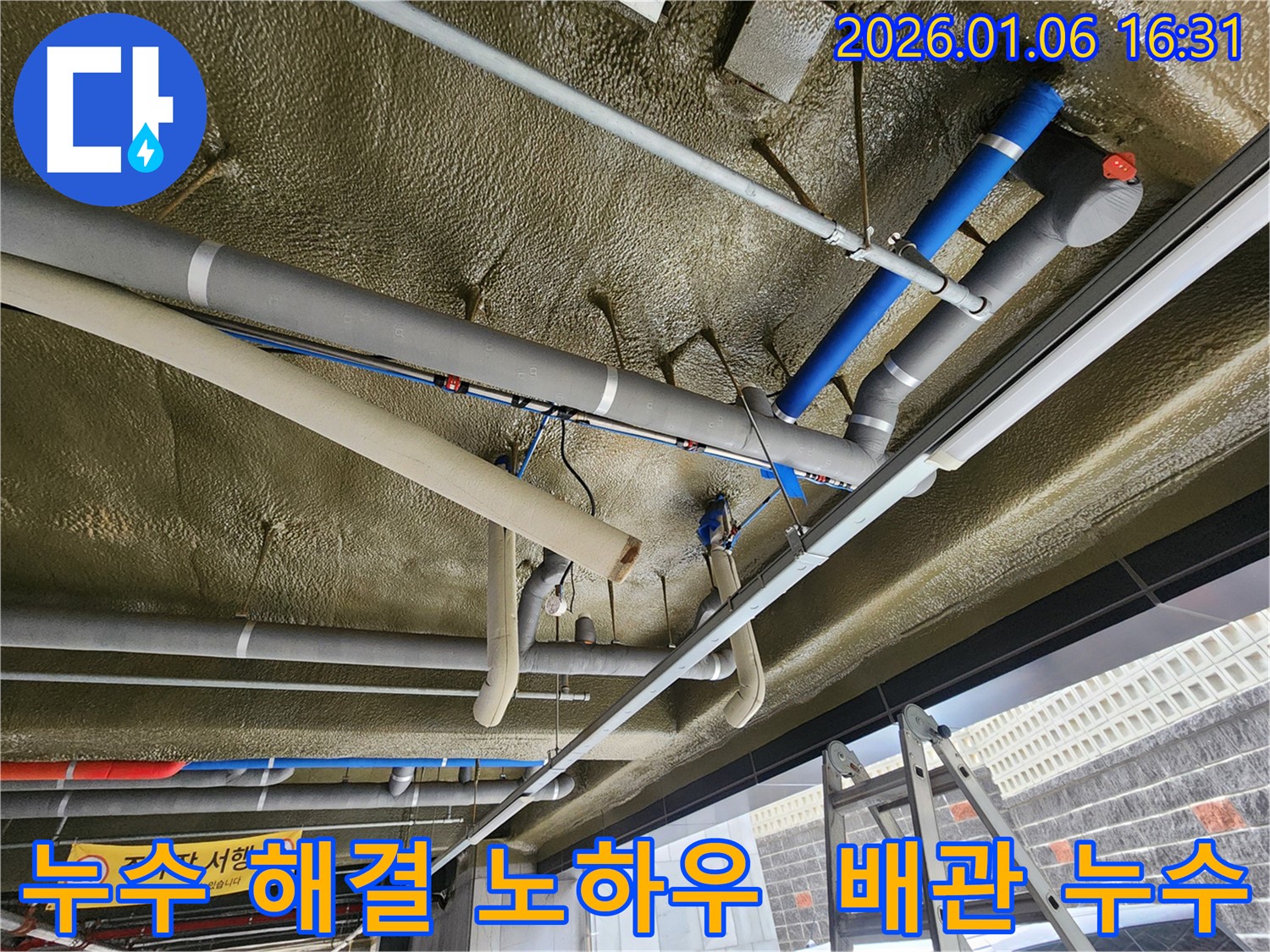 노원구 월계동에서 발생한 천장 배관 누수를 - 베테랑 누수 전문가가 해결하는 과정을 상세하게 보여줍니다.