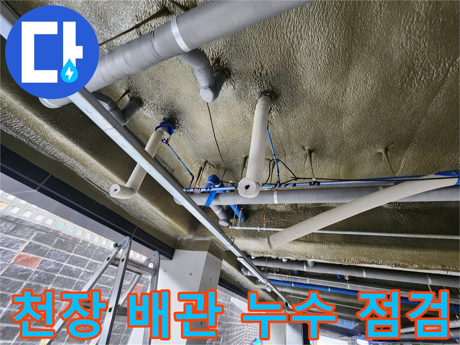 복잡한 구조의 천장 배관 사이에서 물샘 지점을 찾는 작업 현장