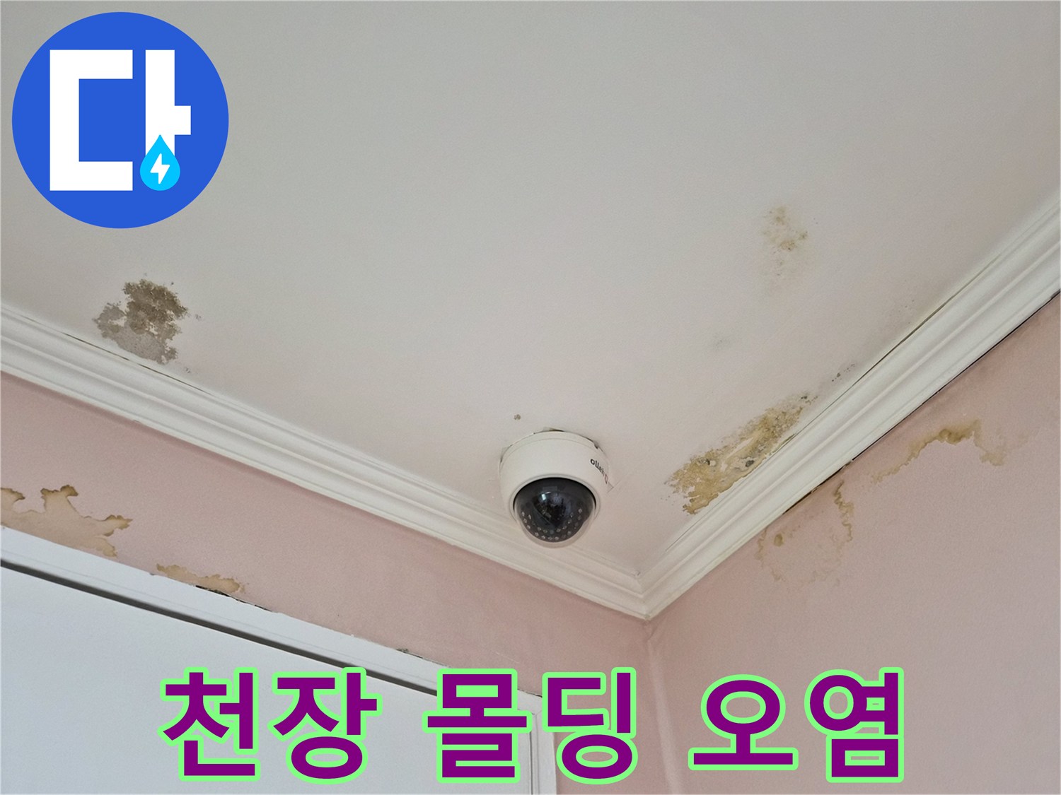 물자국과 곰팡이가 번진 천장 몰딩 부근