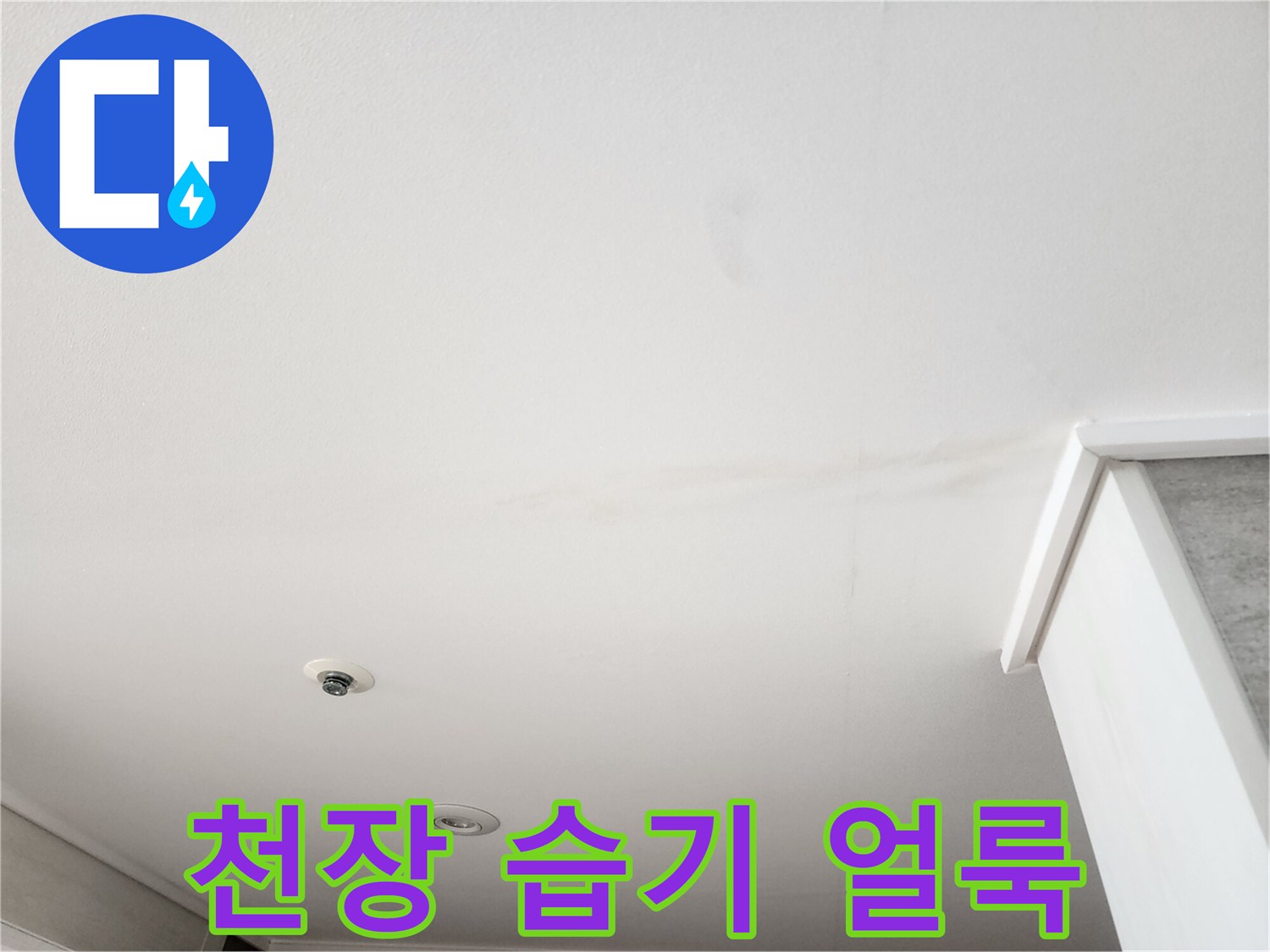 천장 마감재에 스며든 수분으로 인해 변색된 영역