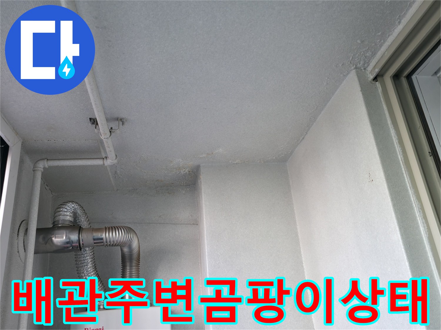 배관-연결-지점의-천장-벽면-곰팡이-및-습기-현황