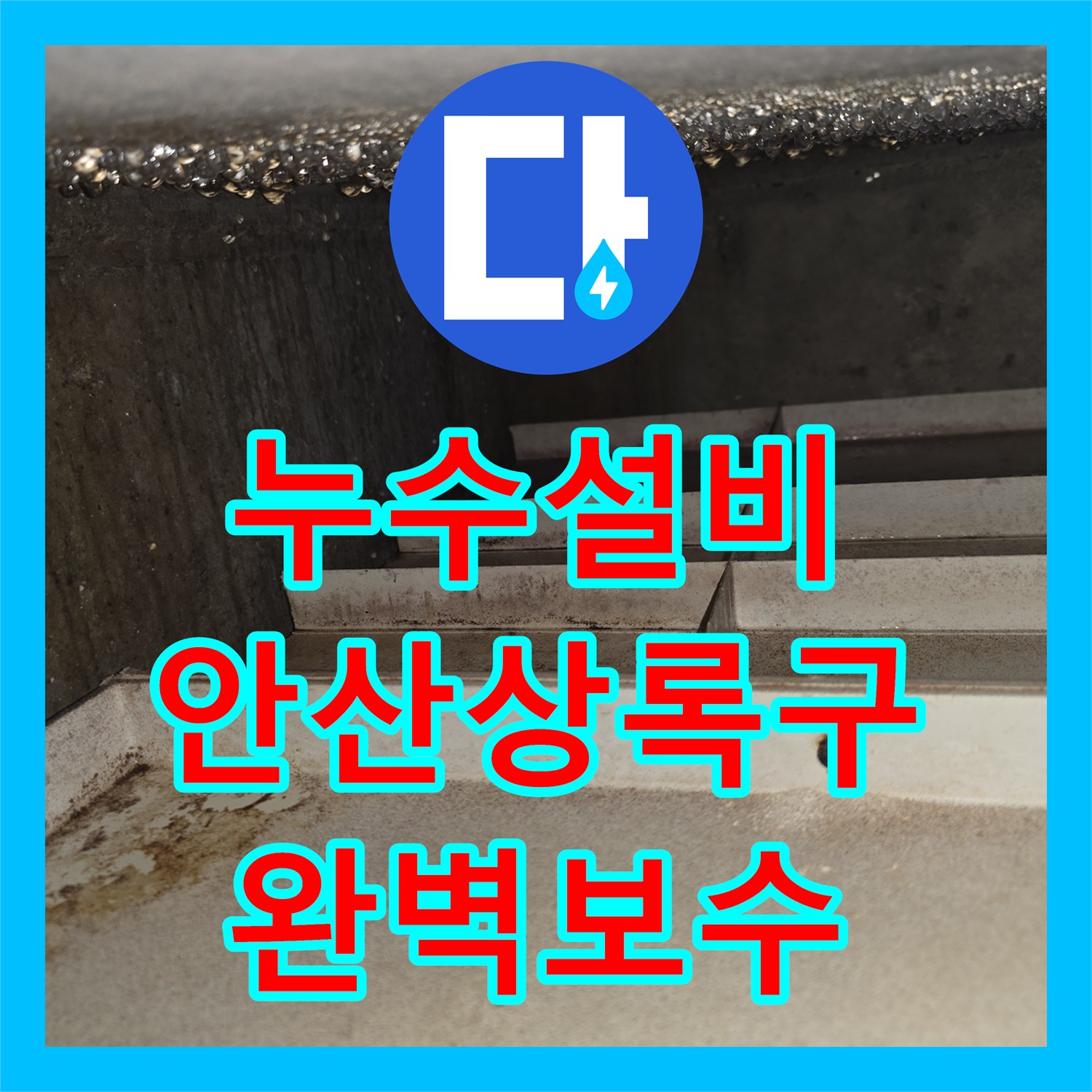 누수설비 타 업체가 실패한 안산시 상록구 주방 천장 누수 정밀 진단 해결기