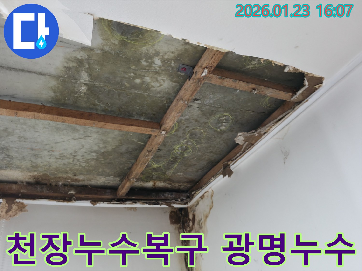 천장-누수-발생-지점을-정확히-파악하고-수리-계획을-수립하는-전문가의-모습