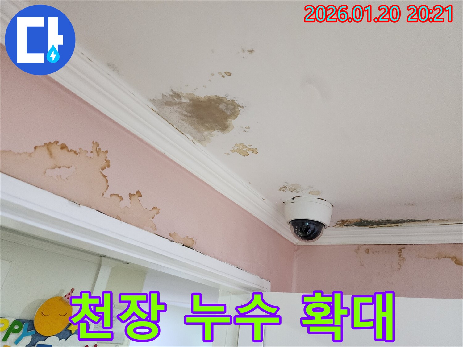 강남구 도곡동 천장 누수 확대 사진 - 누수 지점 상세 확인