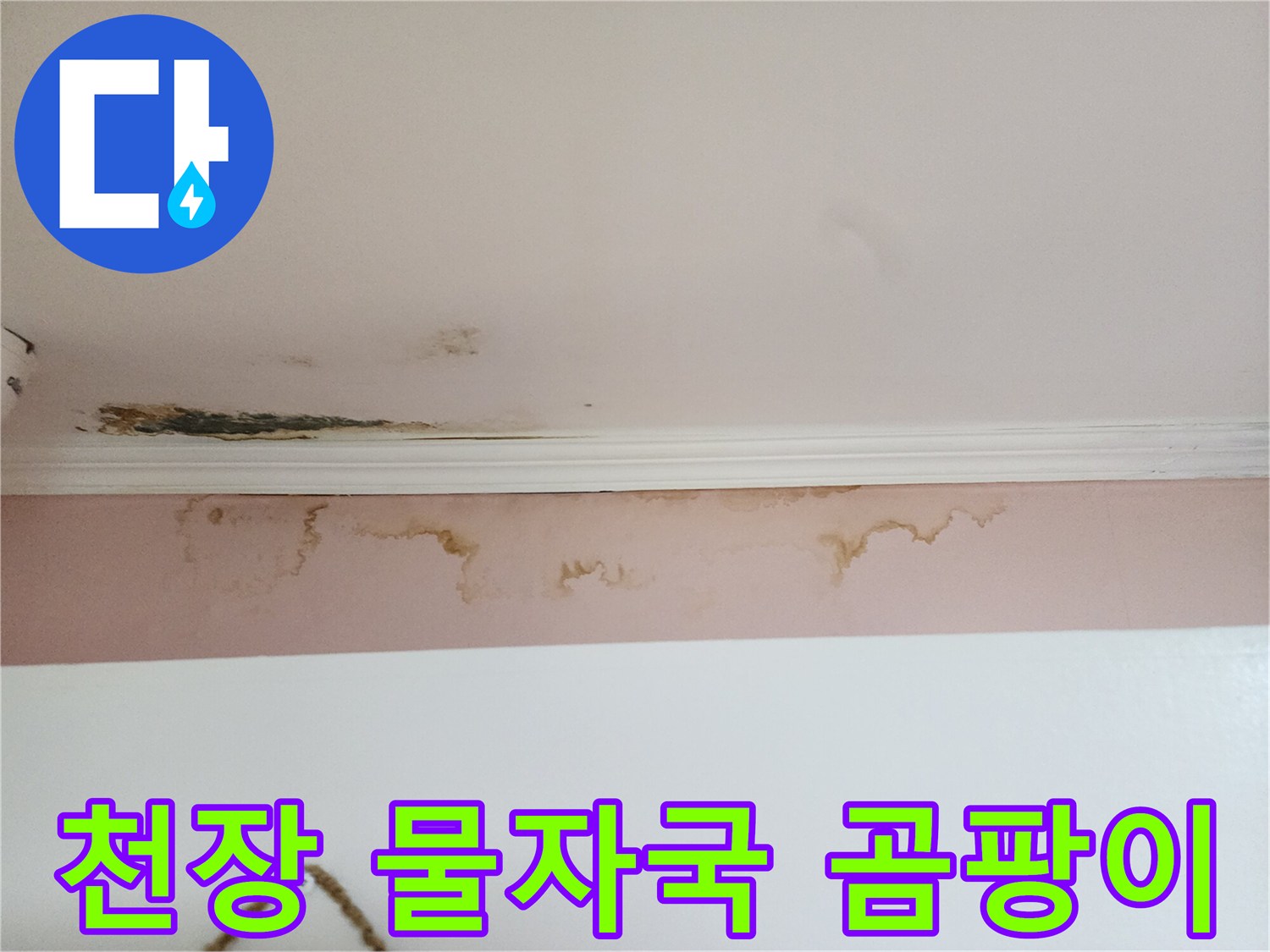 강남구 아파트-천장 벽지 변색 및 곰팡이 발생 상태