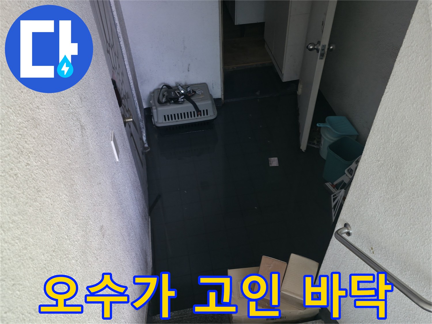 역류한-오수로-가득히-젖은-반지하-복도