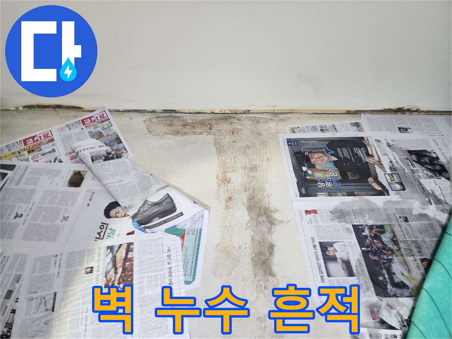 벽에 생긴 누수 흔적 - 곰팡이와 변색으로 누수 위치를 짐작할 수 있습니다.