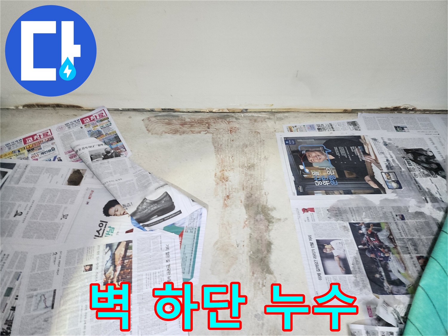 벽의 상단은 깨끗하고 하단만 젖은 모습-아래쪽에서 발생한 누수일 가능성이 높습니다.