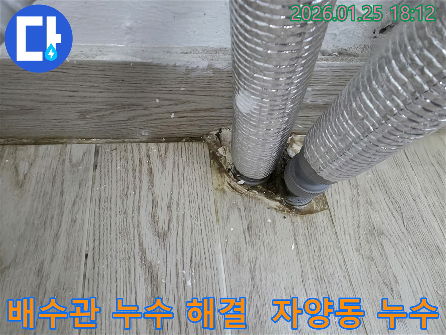 자양동에서 발생한 배수관 누수 - 누수탐지 전문가가 정확한 진단과 신속한 수리로 문제를 해결했습니다.