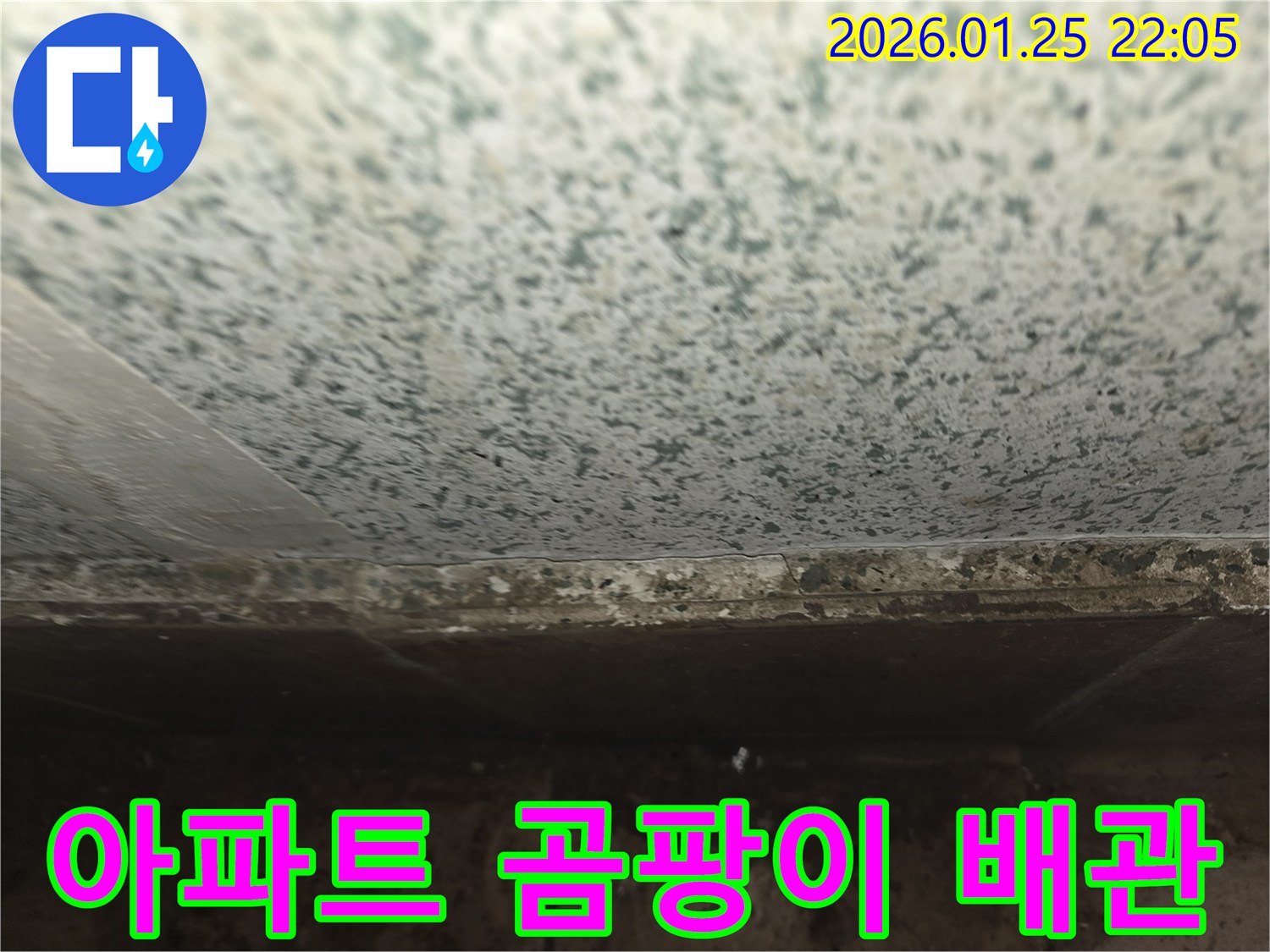 용인 모현읍 아파트 천장 곰팡이-누수 탐지 후 배관 교체 작업