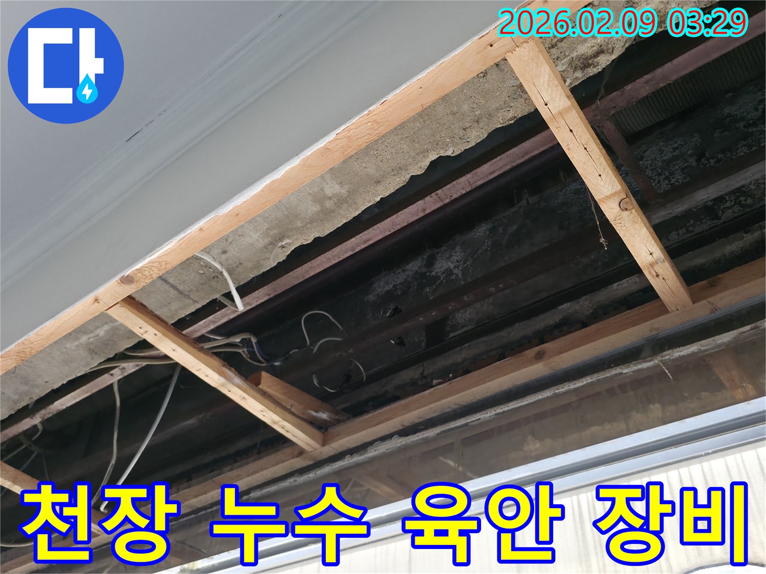 천장 마감재를 제거하고-전문가의 육안 점검과-첨단 장비 탐지를 병행하는 모습입니다