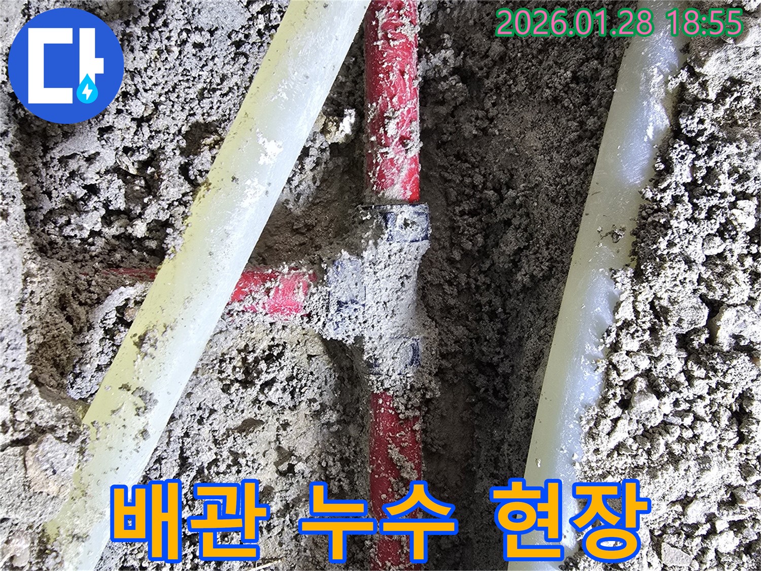 강북구에서 발생한 배관 누수 - 누수탐지 전문가가 정확한 위치를 찾아 신속하게 해결합니다.