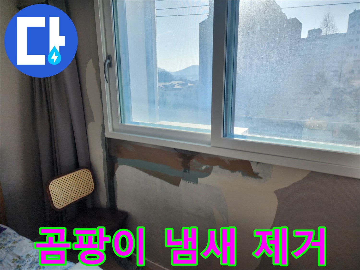 곰팡이 냄새 제거 - 쾌적한 환경 - 누수 해결