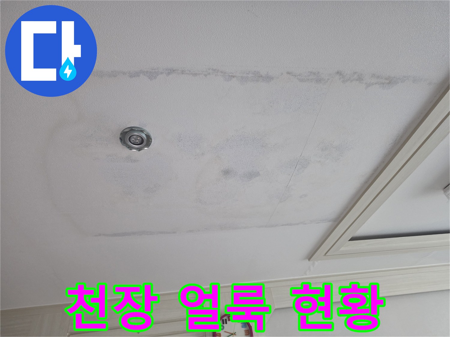 양천구 아파트 천장의 넓은 물자국과 젖은 흔적