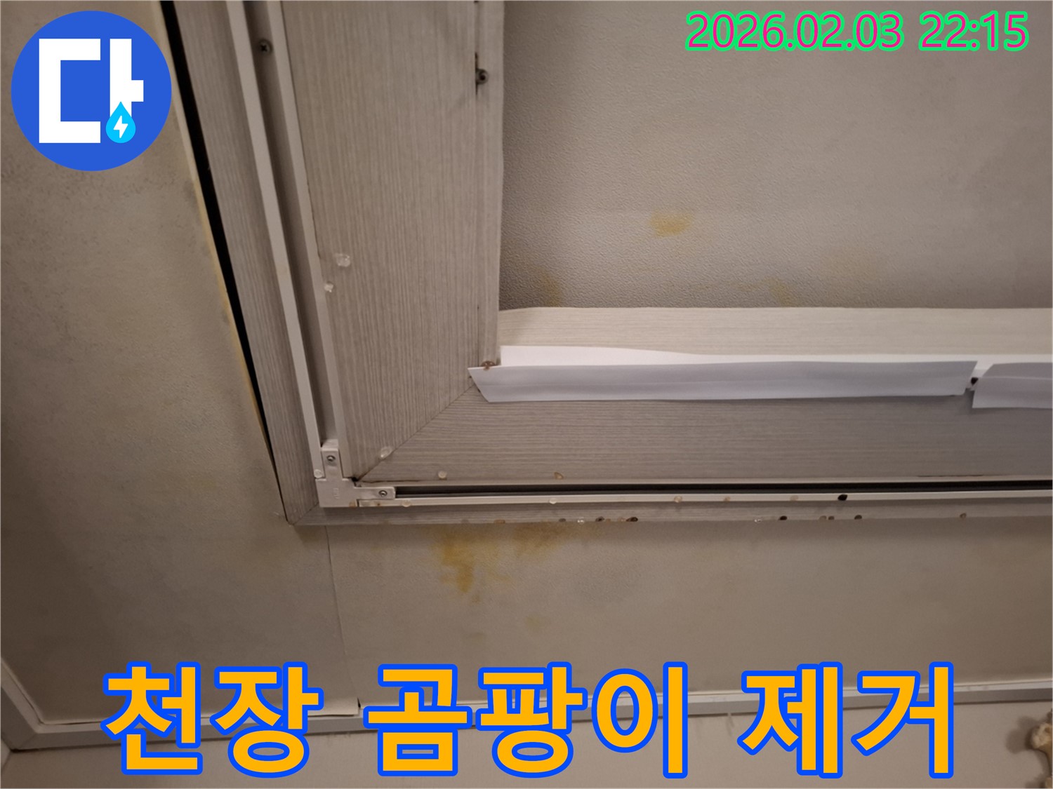창문 누수로 인한 천장 석고보드 곰팡이 제거 - 곰팡이 제거와 누수 해결을 동시에!