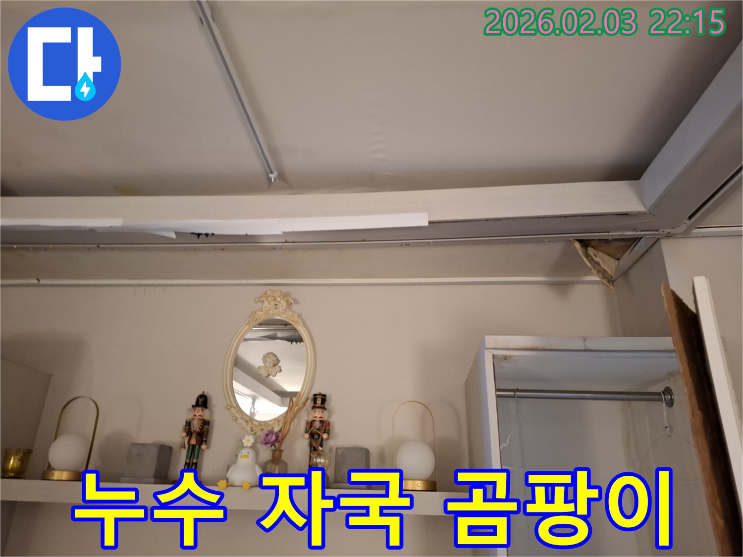 화성 누수 - 천장 누수 자국 및 곰팡이 확인