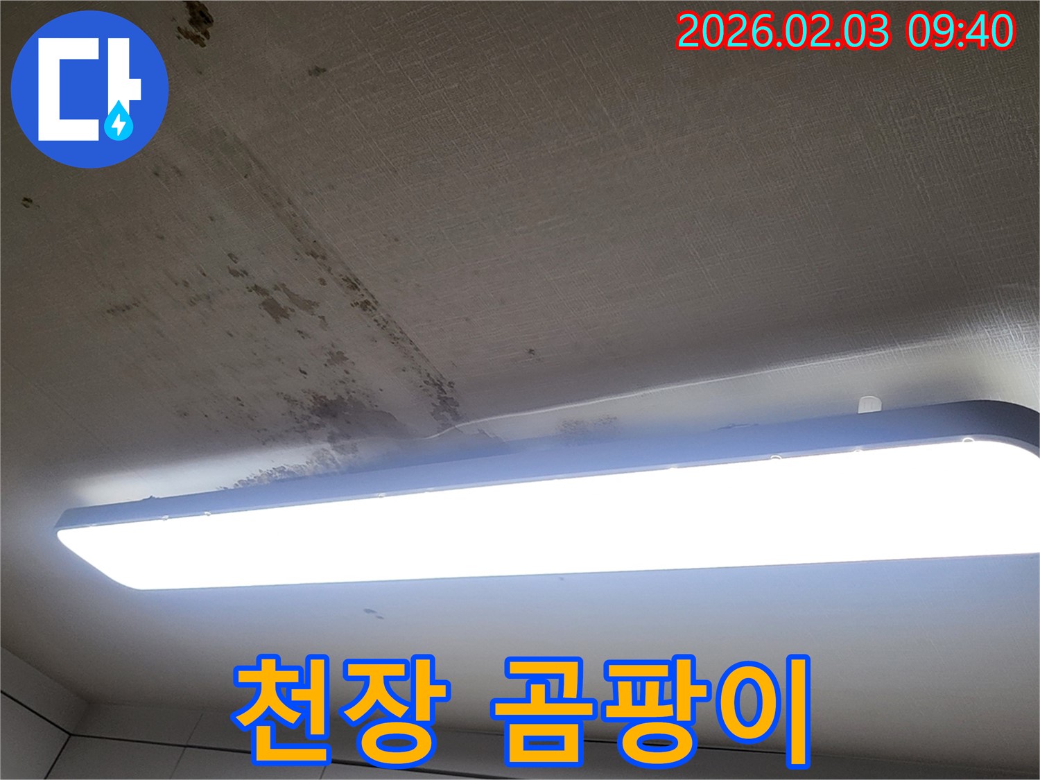 오산 운암동 천장 누수 - 곰팡이가 심하게 핀 천장 사진입니다.