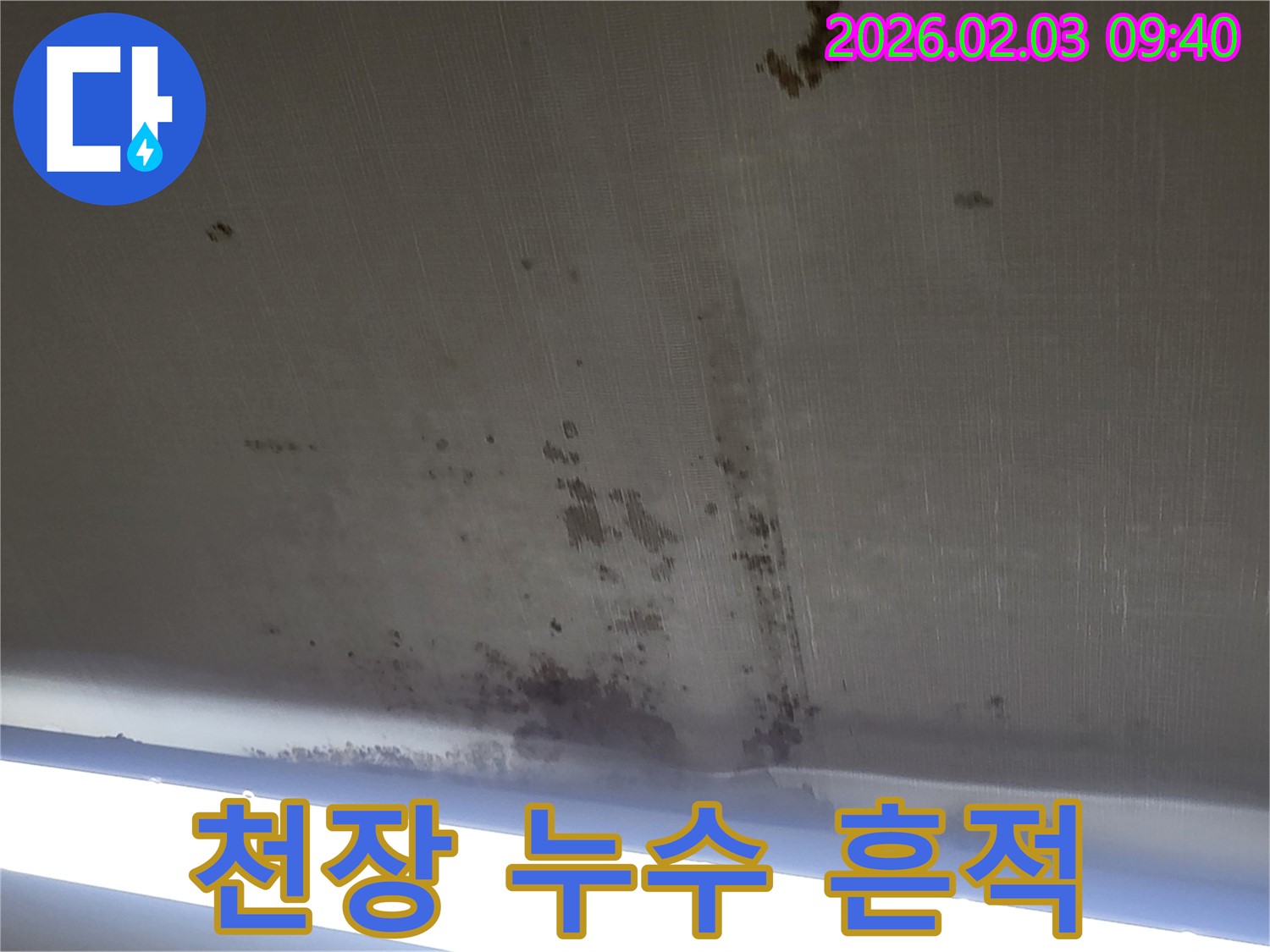 오산 운암동 천장 누수 현장 - 누수 흔적과 곰팡이가 심각한 상태를 보여줍니다.