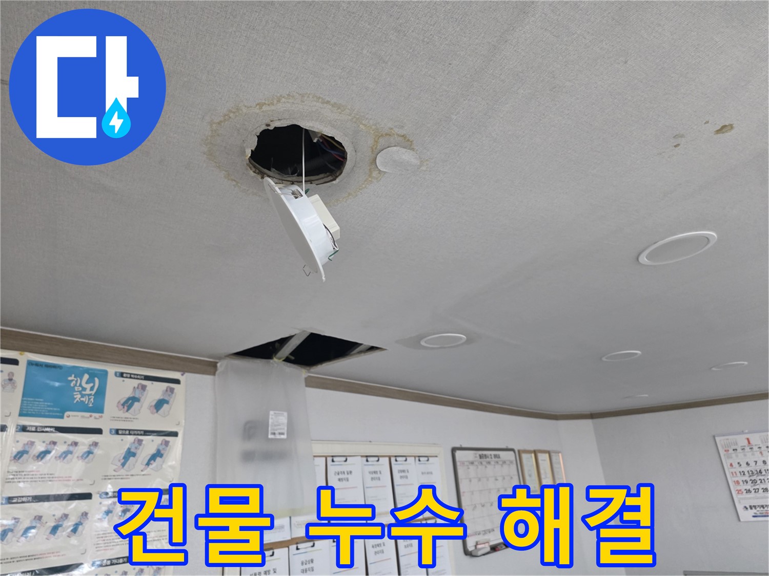 신정동 아파트 누수 - 보험 처리부터 복구까지
