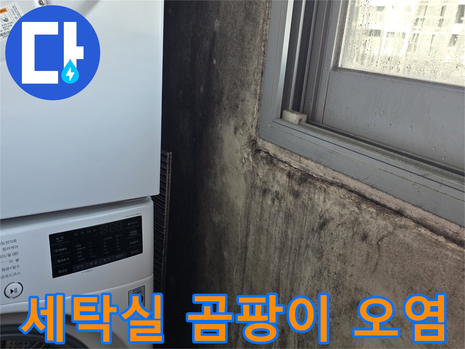 누수가-발생한-세탁실-천장-벽면의-곰팡이-상태