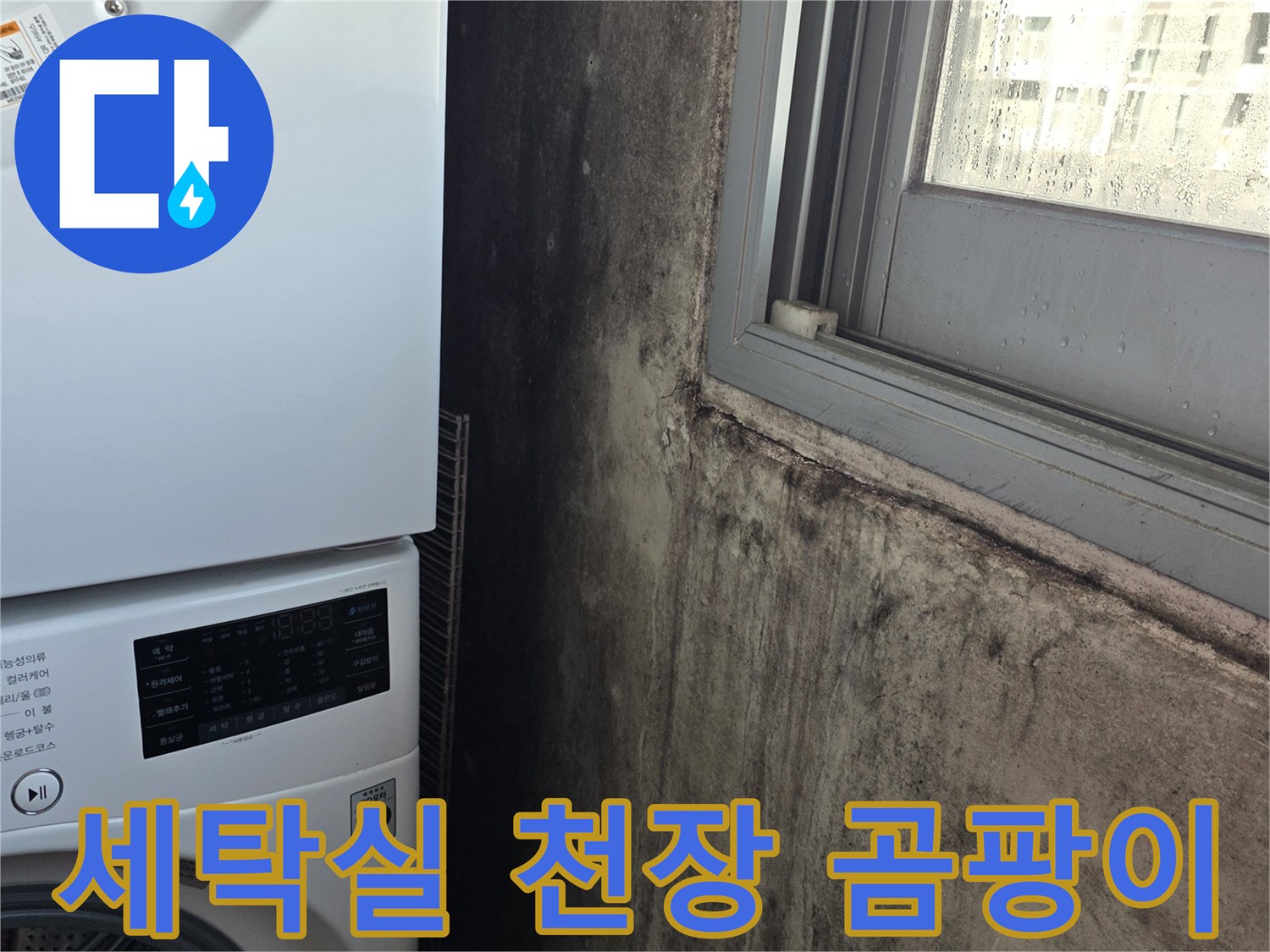 상암동 세탁실-곰팡이가 발생한 천장 부근