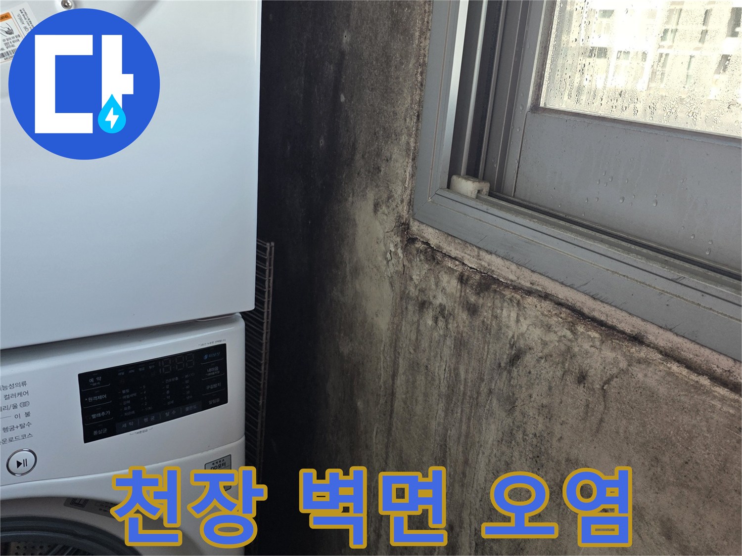 세탁기-상단부-천장-벽면에-퍼진-곰팡이-자국