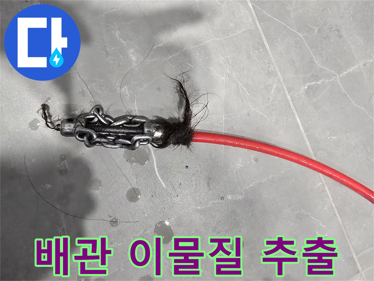 배수관 끝단에서 추출된 머리카락 뭉치와 오물