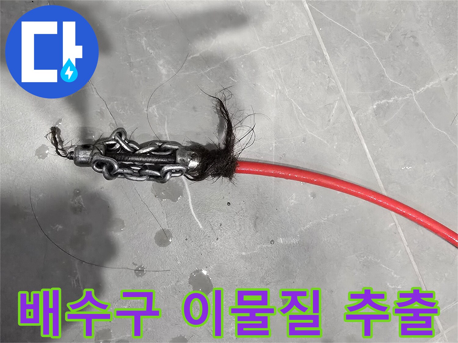 배수관 내부에서 추출된 머리카락 뭉치와 오물