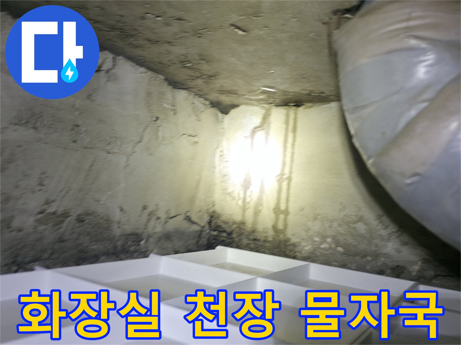 고양시 덕양구 현장의 화장실 천장 벽면 젖음 현상