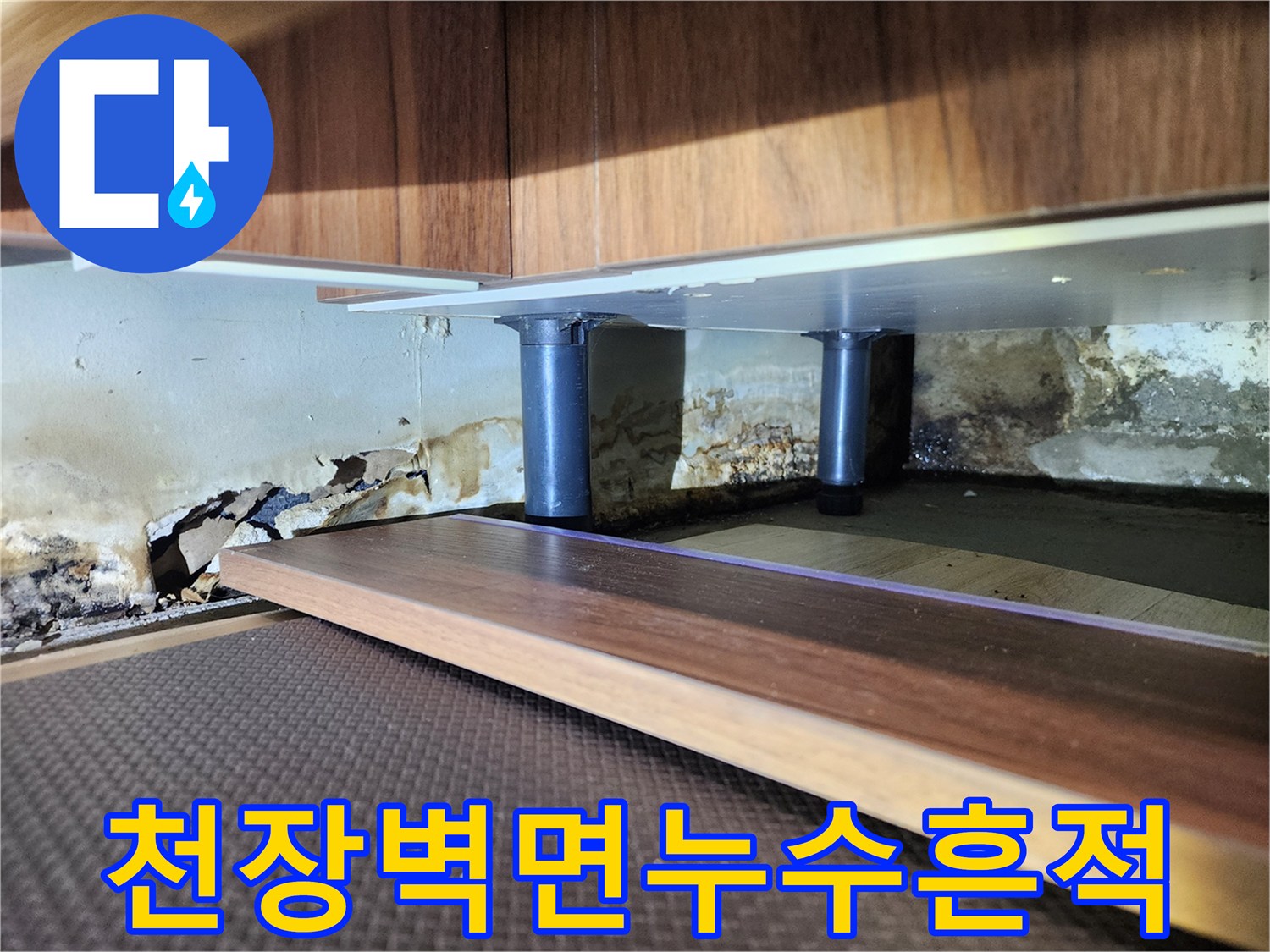 동대mun구-아파트-천장-벽면의-젖은-자국과-곰팡이-현황