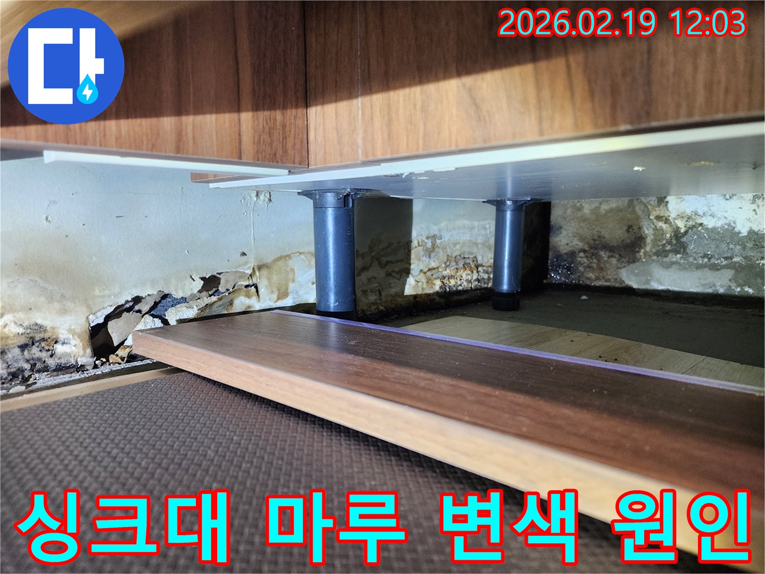 싱크대 하부 벽면의 심각한 누수 흔적-벽지 손상과 곰팡이가 광범위하게 퍼진 상태를 전문가가 진단