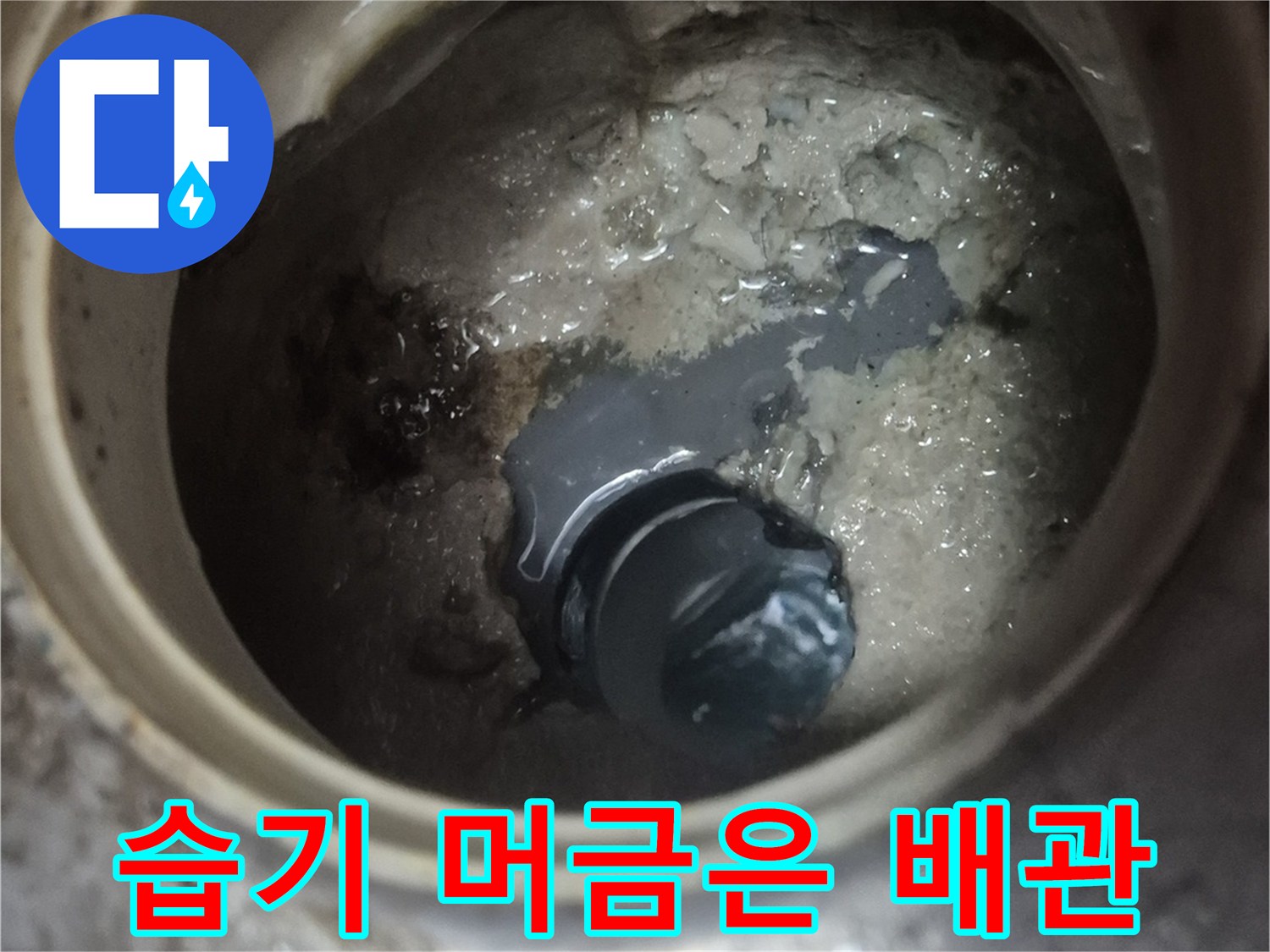 양주 백석읍-습기로 인해 오염된 하수관 내부 사진