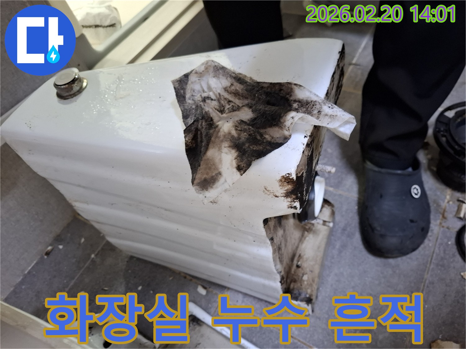 누수 문제로 인해-변기 주변에 생긴-검은 곰팡이와-물때가 가득한-화장실 현장