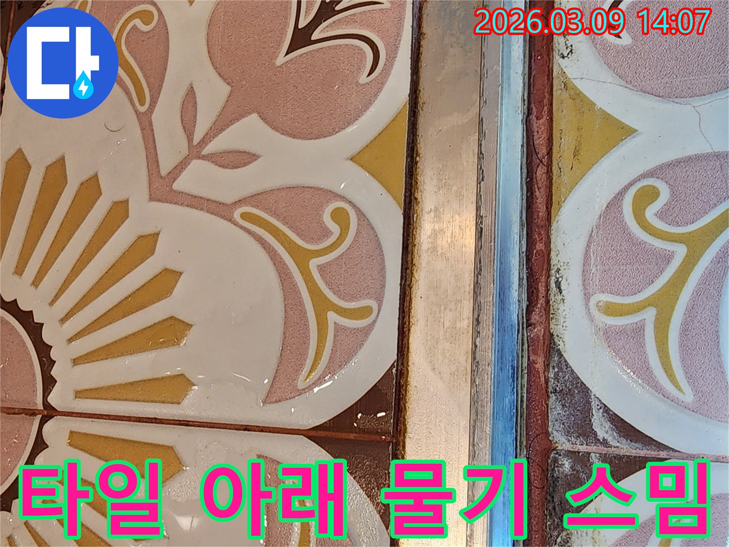 타일 하단부와 줄눈에 물기가 스며들어-변색된 누수 흔적을 보여주는 현장 사진입니다.