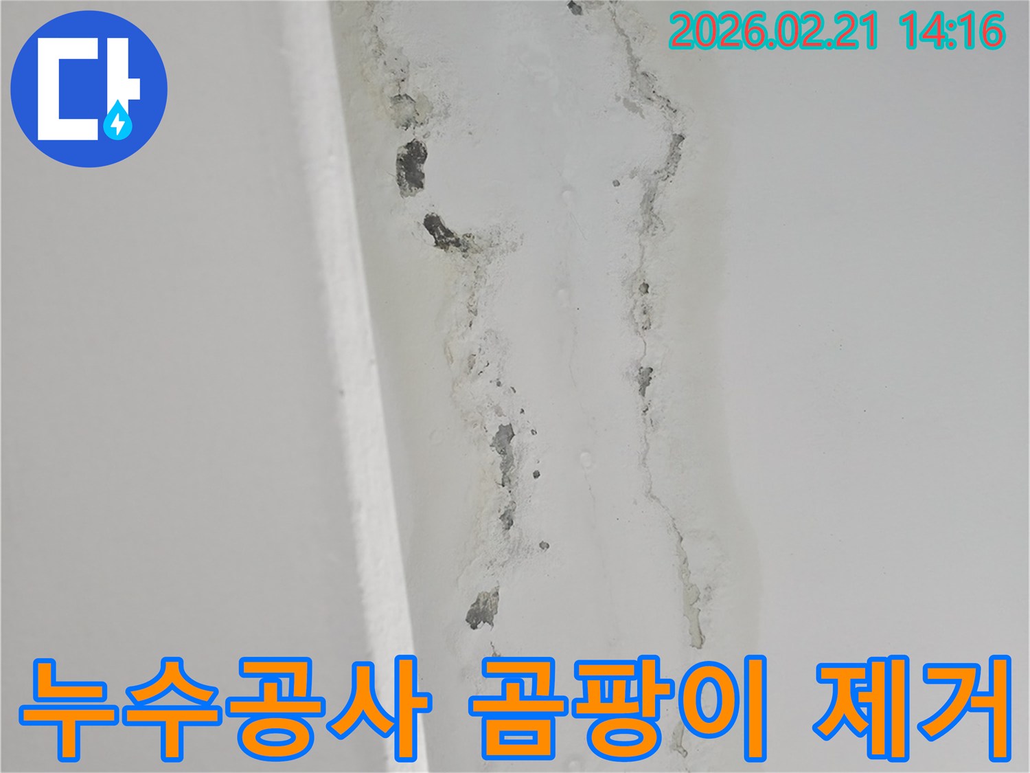 천장-누수로-인해-벽면에-발생한-심각한-곰팡이와-물자국을-보여주는-사진