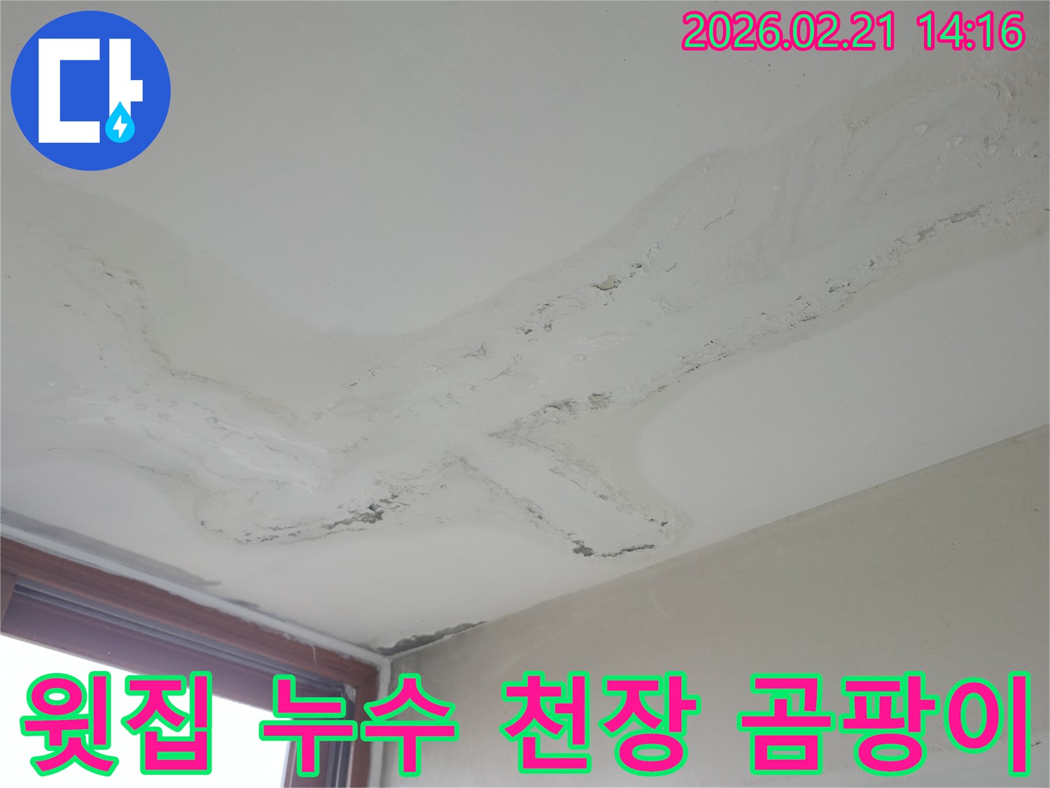 천장 모서리 부분에 집중된 물얼룩과 곰팡이 흔적-윗집 누수로 인한 아랫집 피해 상황-전문적인 누수 진단이 시급한 현장
