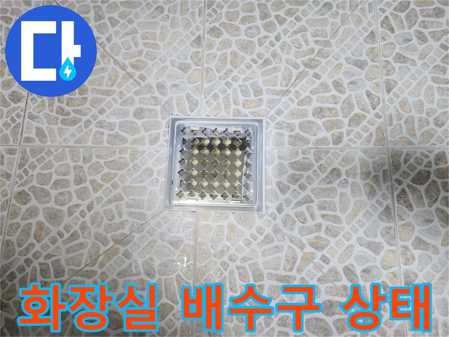 동대문구 화장실-배수구 유가 주변 타일 상태 점검