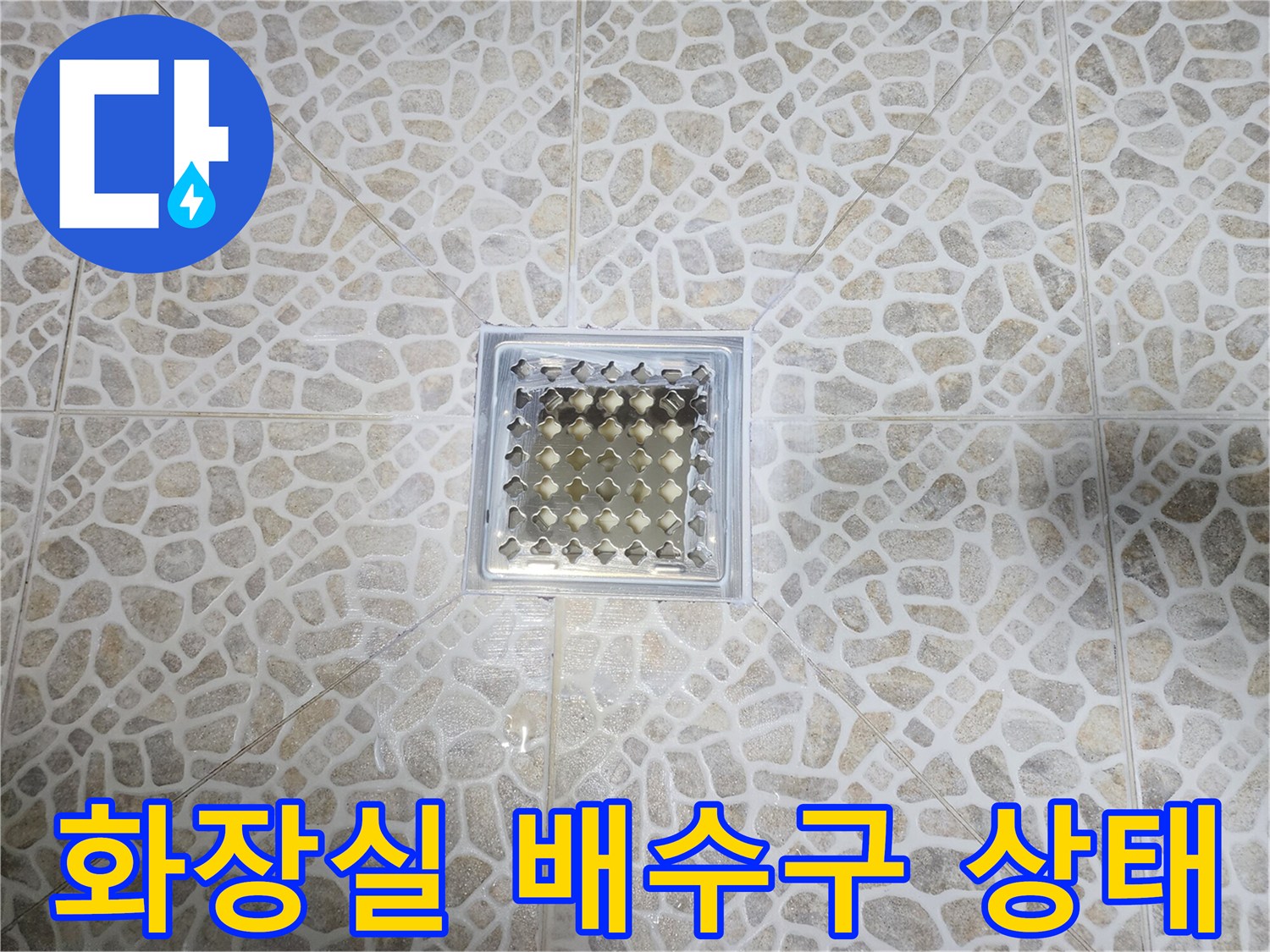 동대문구-화장실-배수구-유가-주변-타일-상태-확인