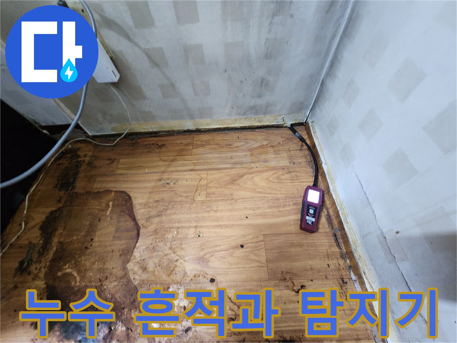 장곡동 현장-변색된 마루와 가스식 누수 탐지 장비