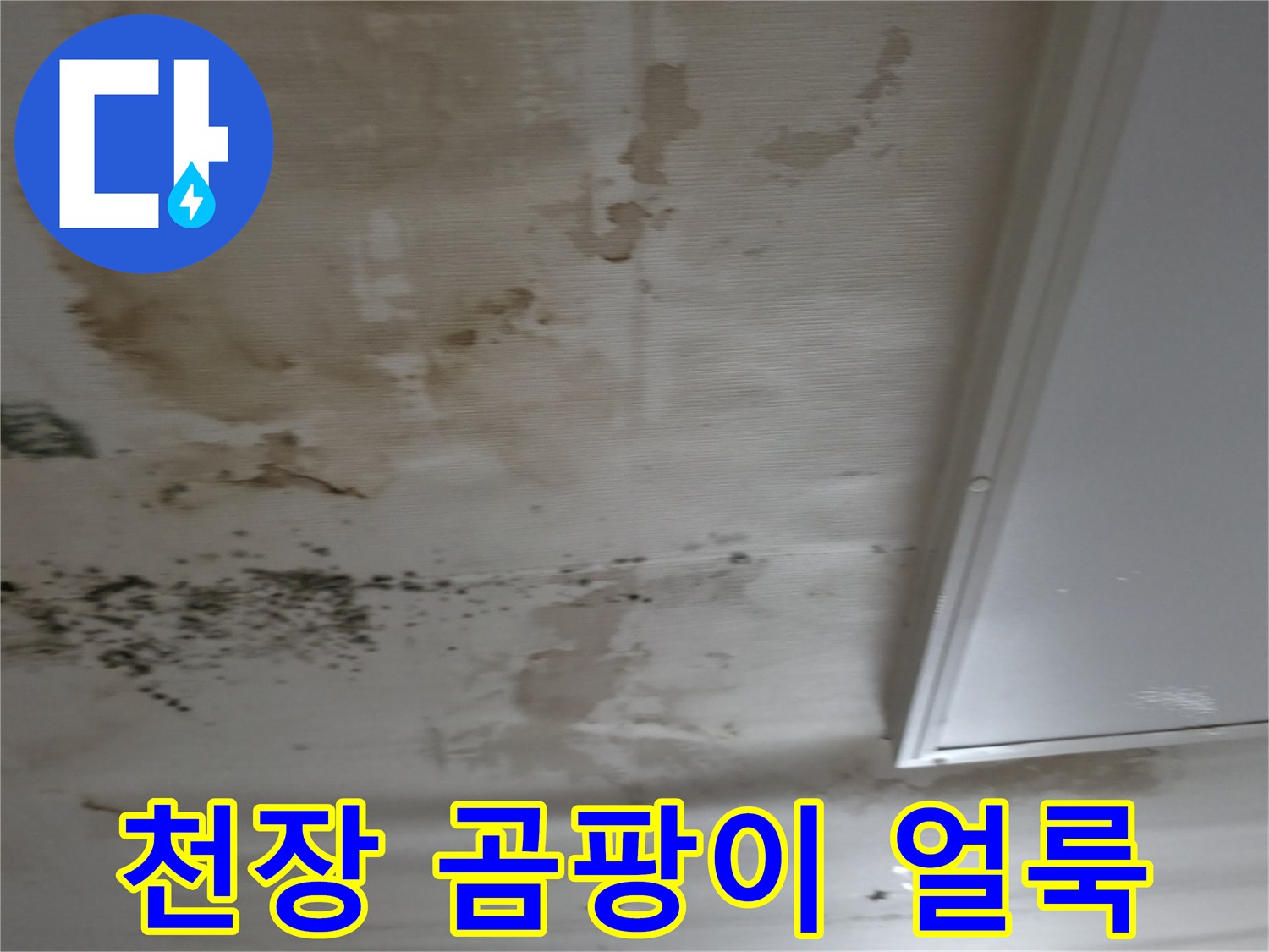 강남구 현장-누수로 인해 검게 변한 천장 곰팡이 부위