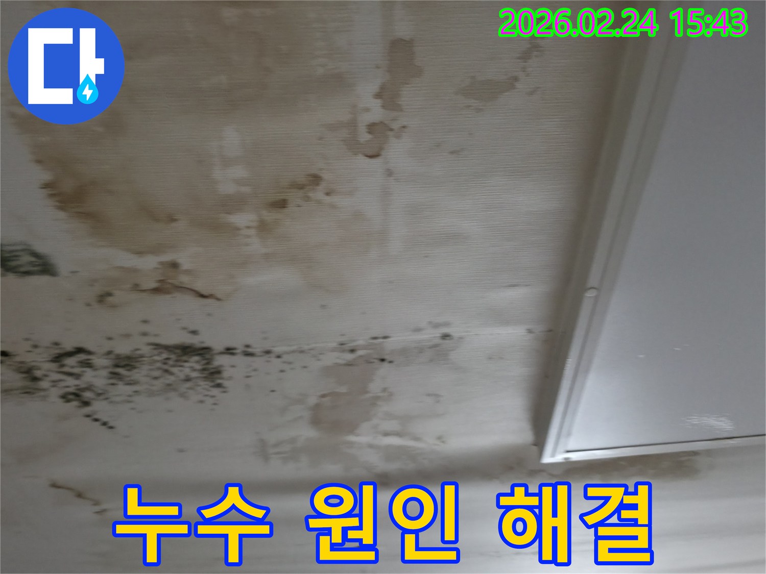 천장 누수로 인해 발생한 물자국과-곰팡이를 통해-누수 원인을 파악하고-해결해야 하는-현장 상황