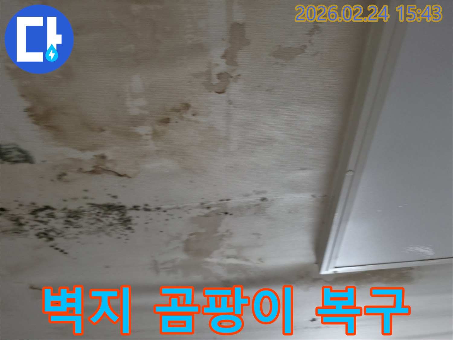 천장 누수로 인해 오염된 벽지의-물자국과-곰팡이를 제거하고-복구해야 하는-현장 상황
