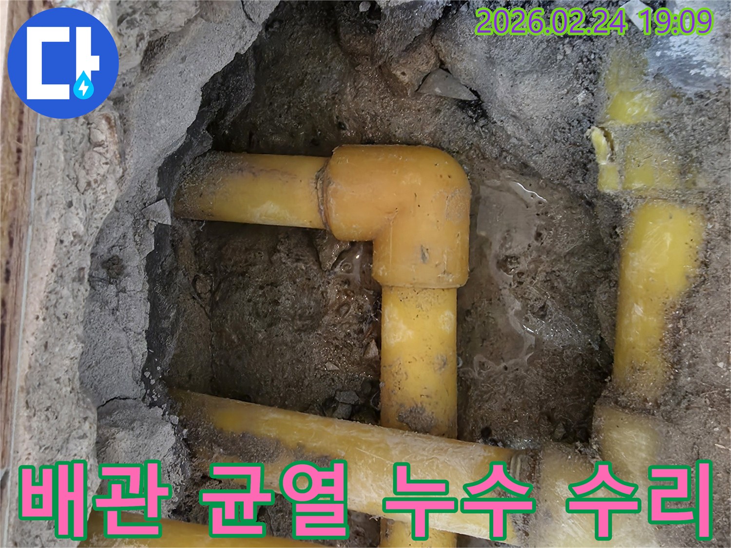 서초구-반포동-주택의-누수-현장에서-발견된-균열된-배관의-모습