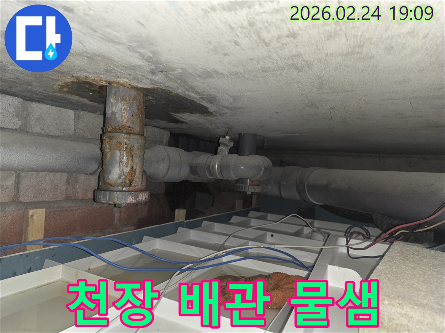 천장 아래의-낡은 배관에서-물이 새어 나와-임시 물받이에-고인 현장