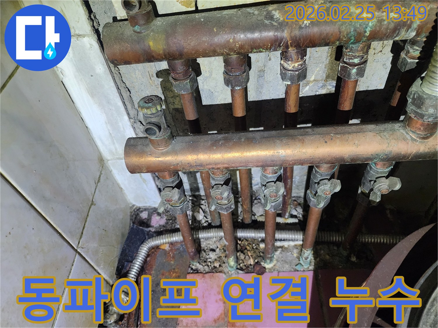 서울 금천구의-동파이프 연결 부위에서-발생한 누수를-정밀하게 진단하고-보수하는 모습