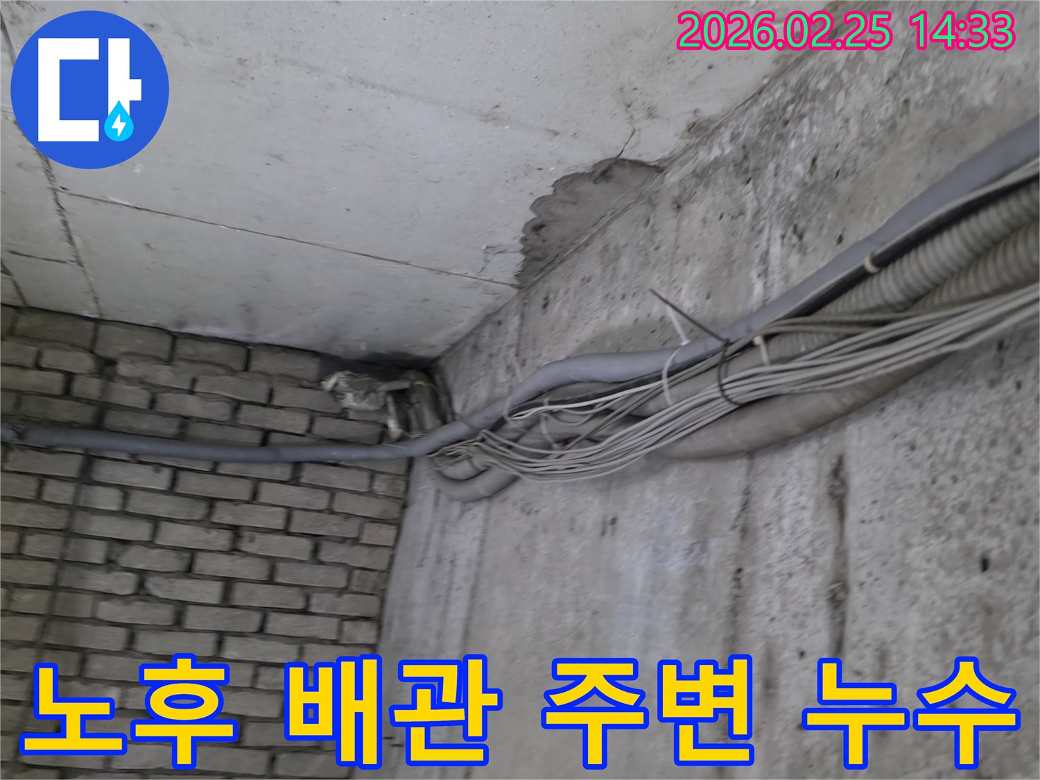 낡은 건물 지하의-콘크리트 벽면과-벽돌 벽이 만나는-구석에 위치한-다수의 배관과-전선 그리고-명확한 누수 흔적