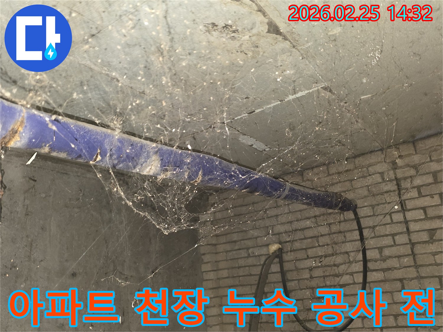 서울 강동구 진황도로 인근 아파트-지하 천장에 거미줄이 가득한-누수 공사 전-현장 상황을 담은 사진입니다.