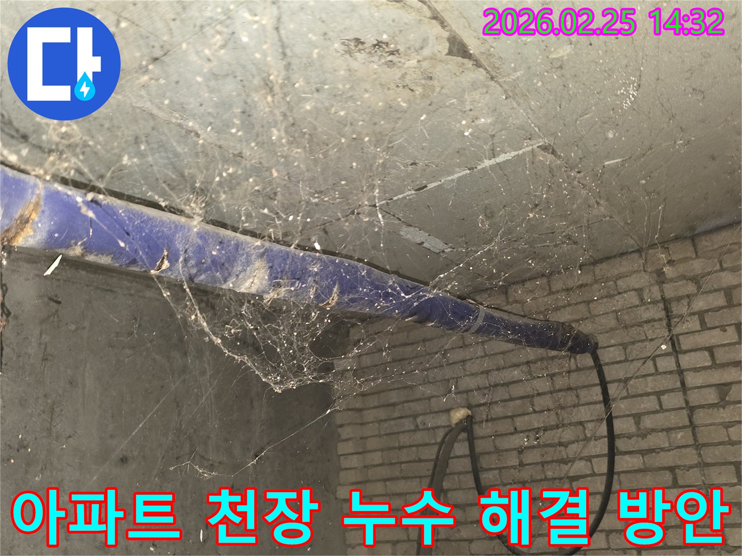 서울 강동구 진황도로 인근 아파트-지하 천장에 거미줄이 가득한-누수 문제 해결 전-현장 상황을 담은 사진입니다.