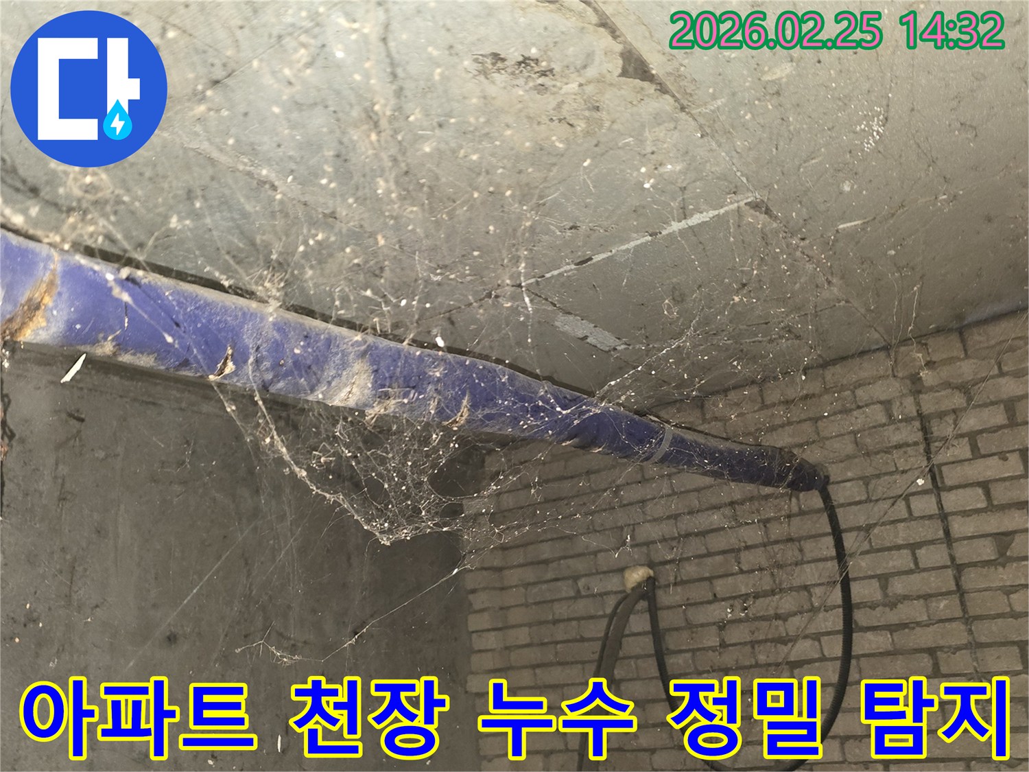 서울 강동구 진황도로 인근 아파트-지하 천장에 거미줄이 가득한-누수 정밀 탐지 전-현장 상황을 담은 사진입니다.